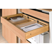 HETTICH OrgaStripe Profil