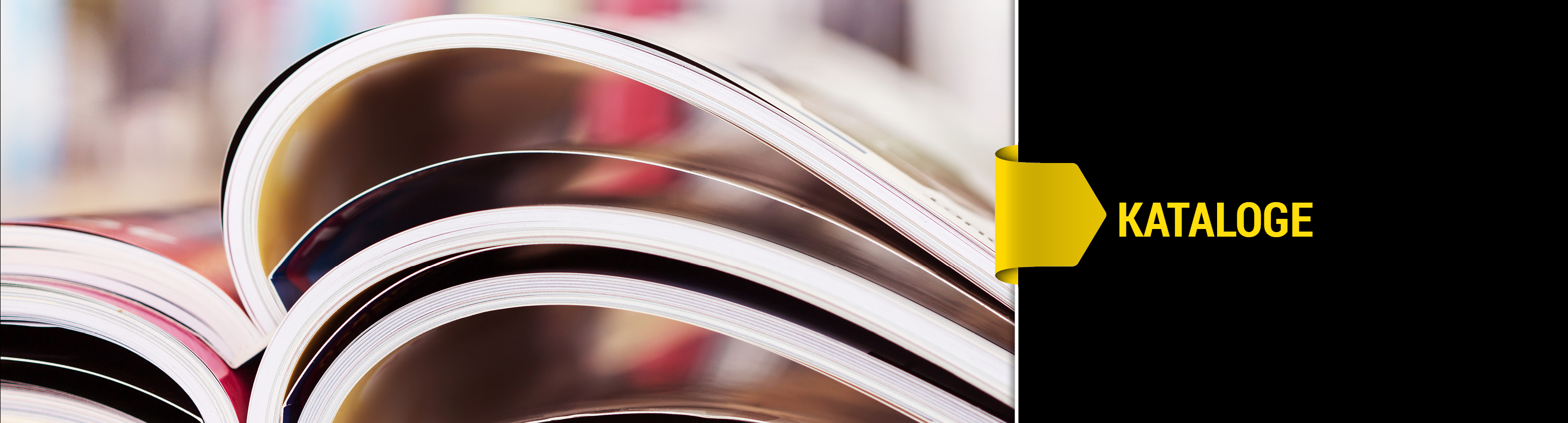 Auf dem Gruppenbanner sind aufgeklappte Kataloge zu sehen. Außerdem ist der Schriftzug "Kataloge" zu sehen.