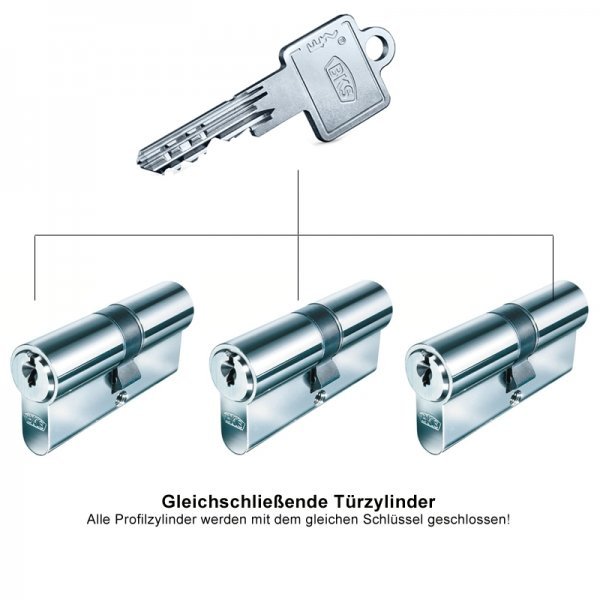 Profilzylinder gleichschliessend